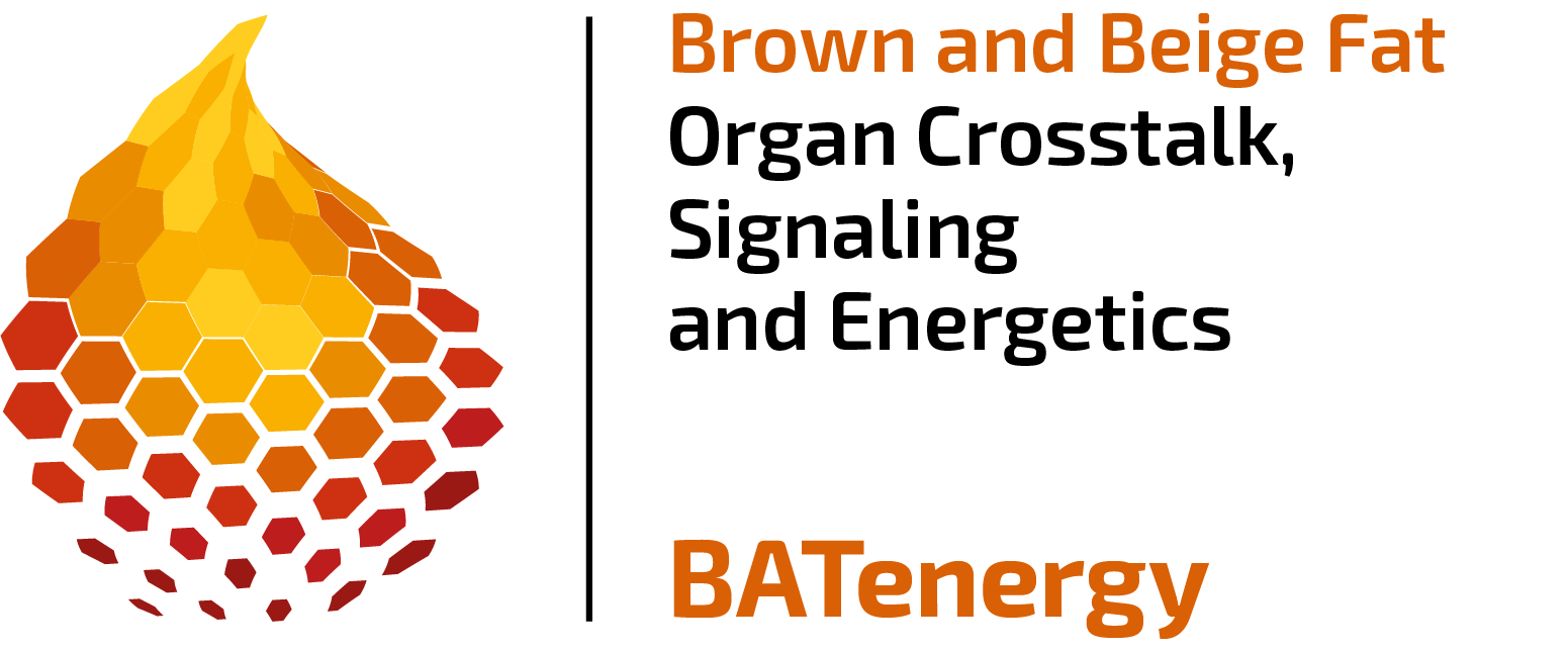 TRR333 / BAT Energy Logo