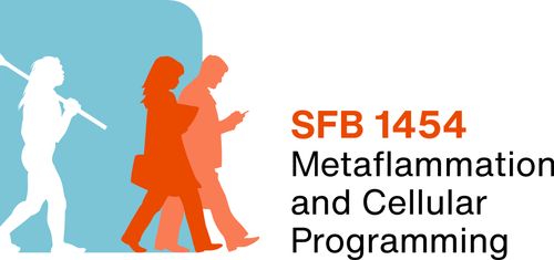 SFB 1454